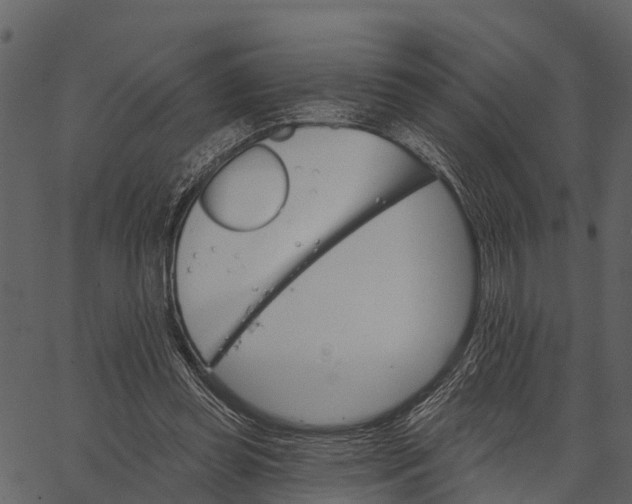 X0000062640349200601111131