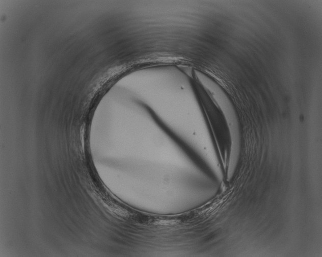 X0000062640350200601111131