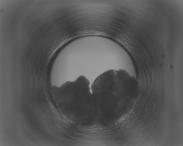 X0000062640351200601111131