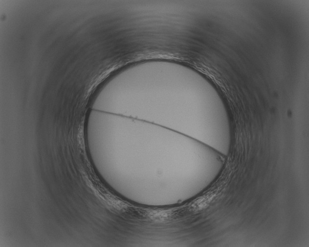 X0000062640352200601111131