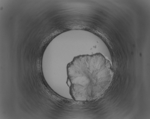 X0000062640353200601111132