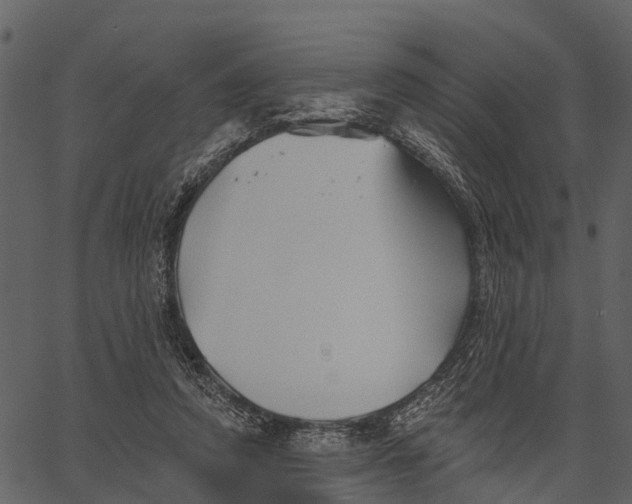 X0000062640354200601111132