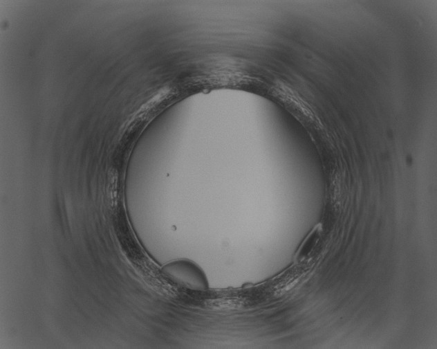 X0000062640356200601111132