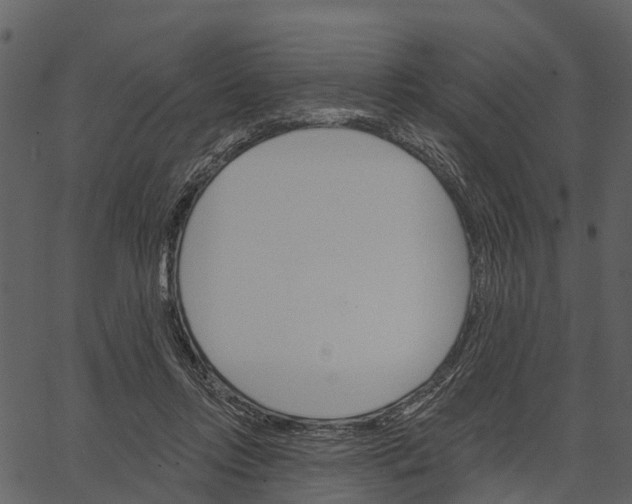 X0000062640358200601111132