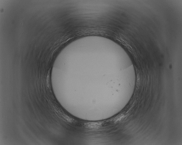 X0000062640359200601111132