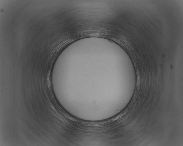 X0000062640360200601111132