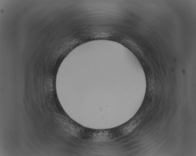 X0000062640362200601111132