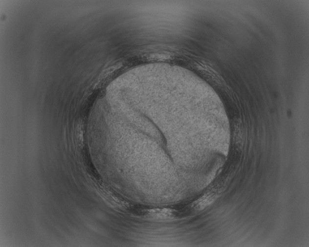 X0000062640363200601111132