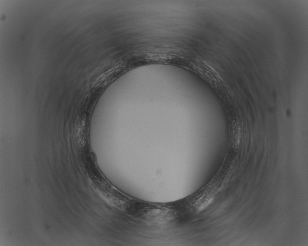 X0000062640364200601111132