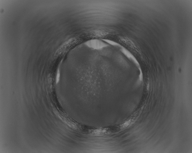 X0000062640366200601111132