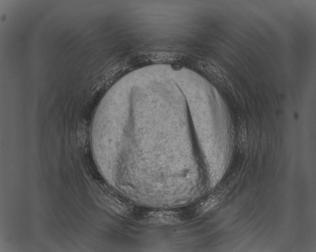 X0000062640367200601111132