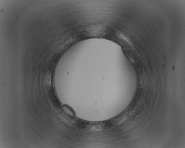 X0000062640368200601111132