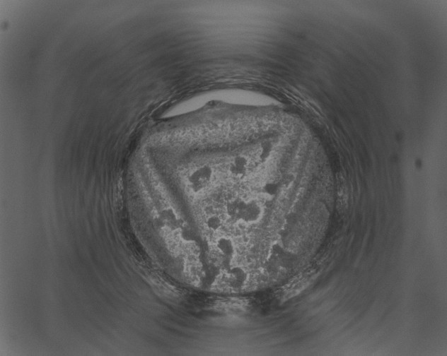 X0000062640369200601111132