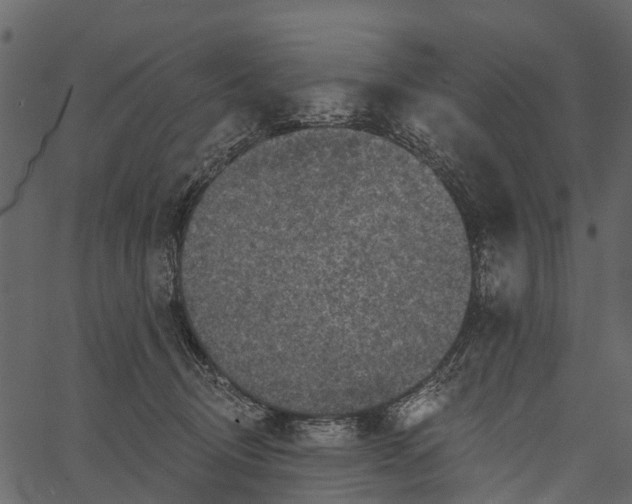 X0000062640370200601111132