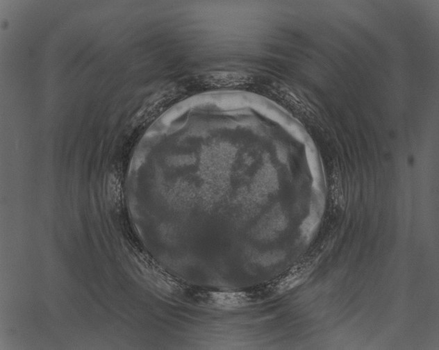 X0000062640371200601111132