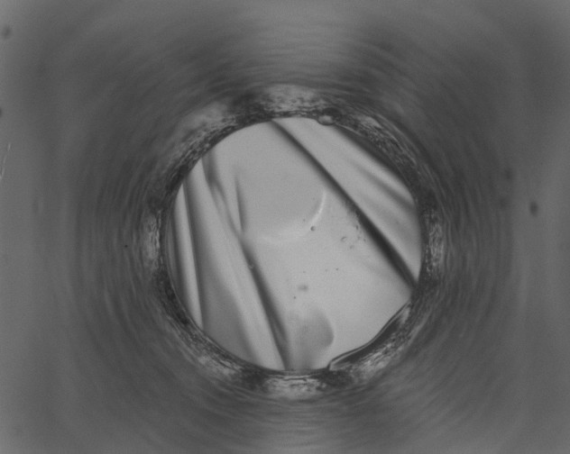 X0000062640372200601111132