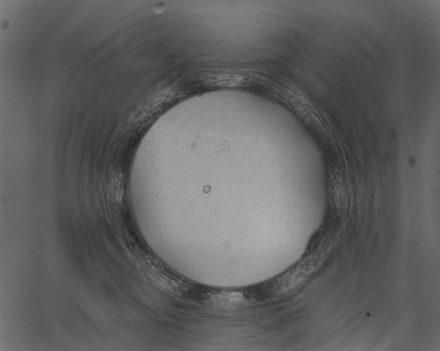 X0000062640374200601111132