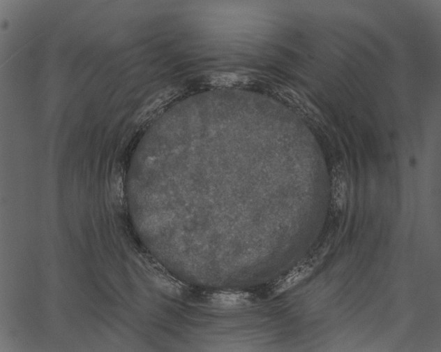 X0000062640375200601111132