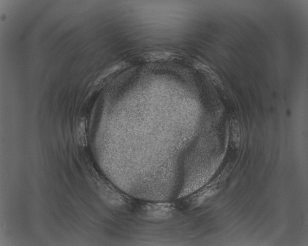 X0000062640378200601111132