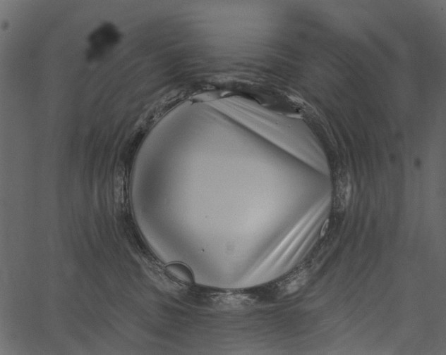 X0000062640379200601111132