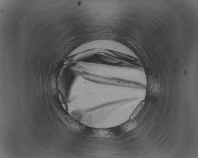 X0000062640380200601111132