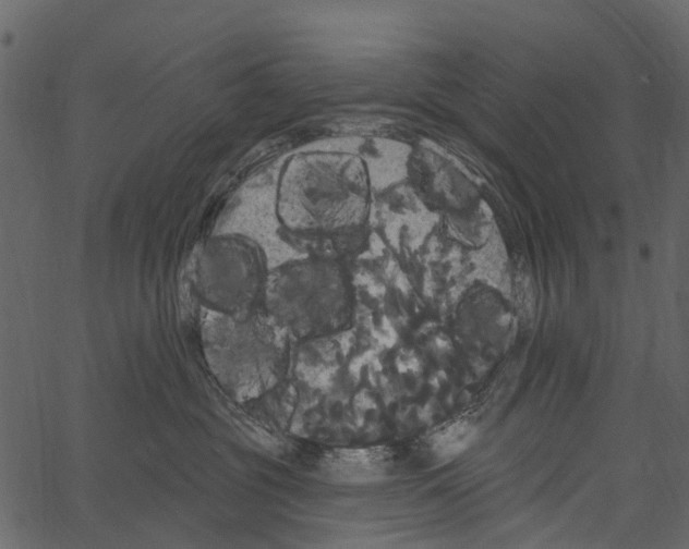 X0000062640381200601111132