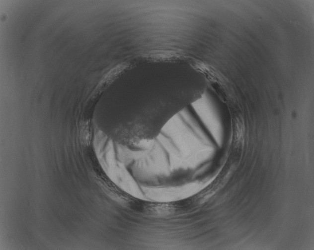 X0000062640383200601111132