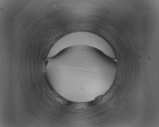 X0000062640384200601111132