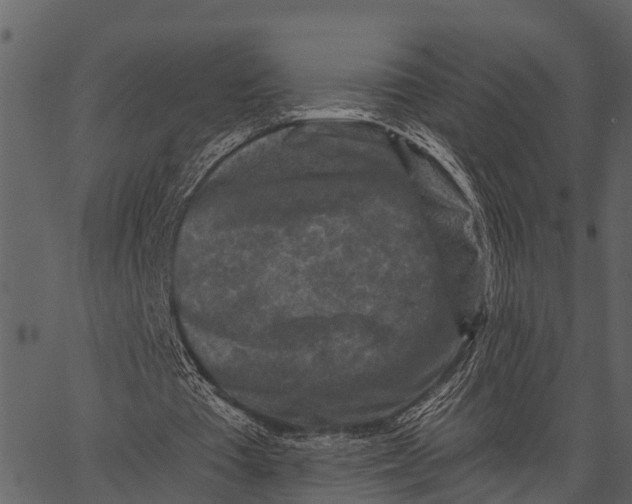 X0000062640385200601111131