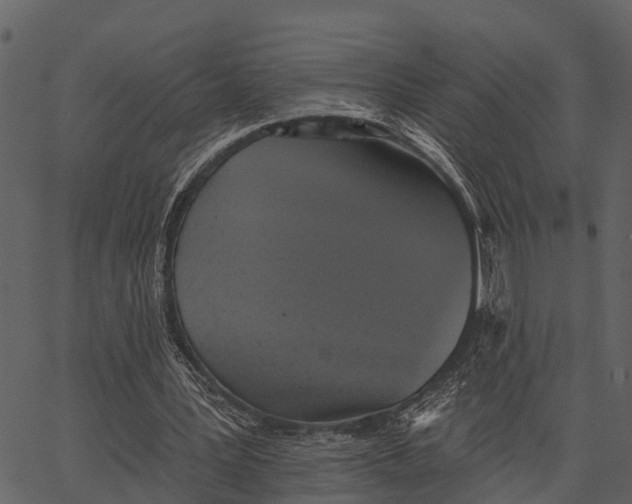 X0000062640387200601111131