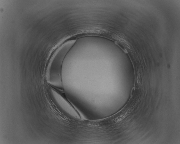 X0000062640388200601111131