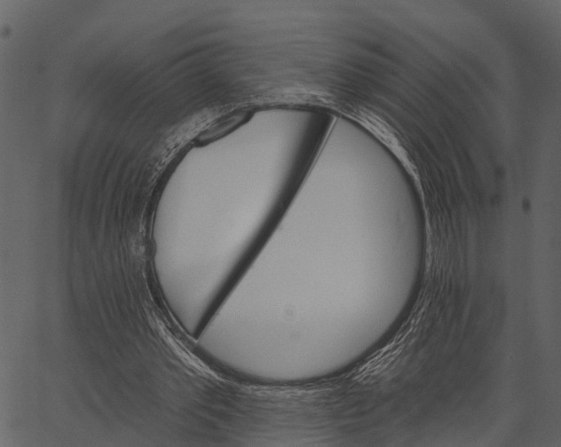 X0000062640389200601111131