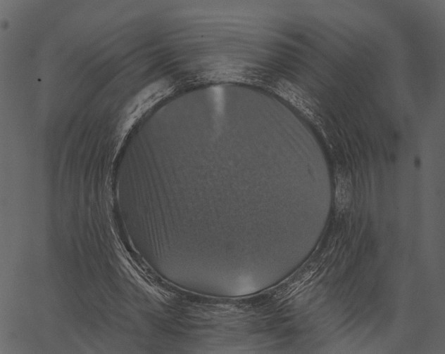 X0000062640390200601111131