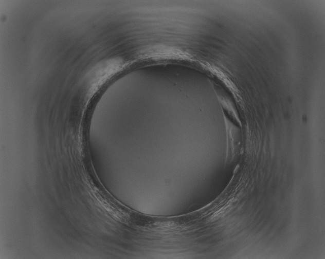 X0000062640391200601111131