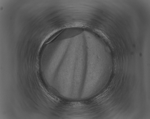 X0000062640392200601111131