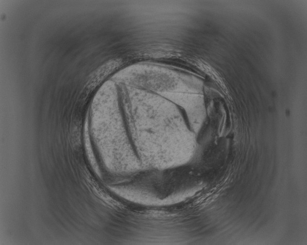 X0000062640393200601111131