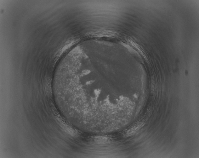 X0000062640394200601111131