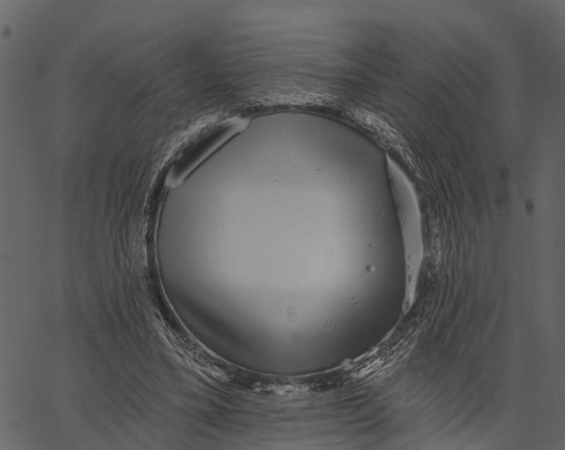 X0000062640395200601111131