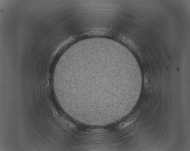 X0000062640396200601111131