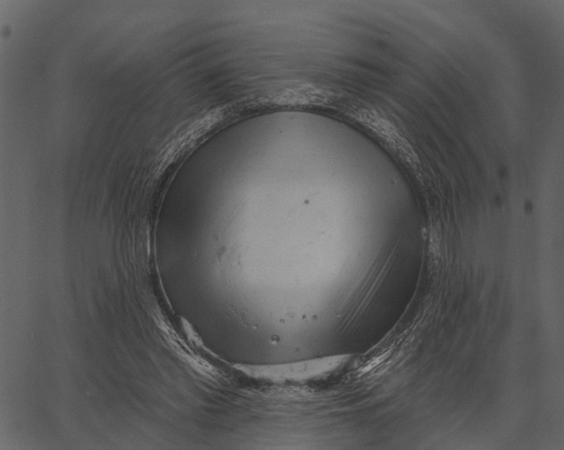 X0000062640397200601111131