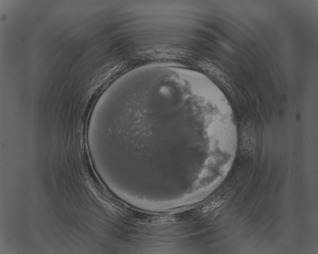 X0000062640398200601111131