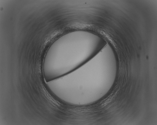 X0000062640399200601111131