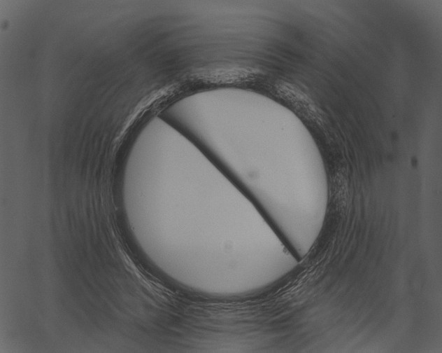 X0000062640400200601111131