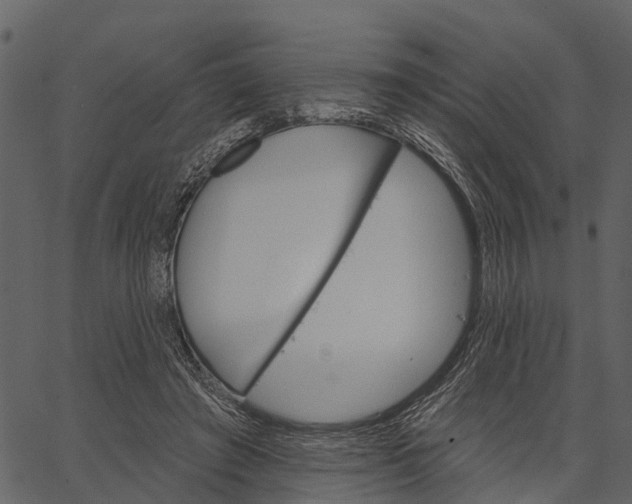 X0000062640401200601111131