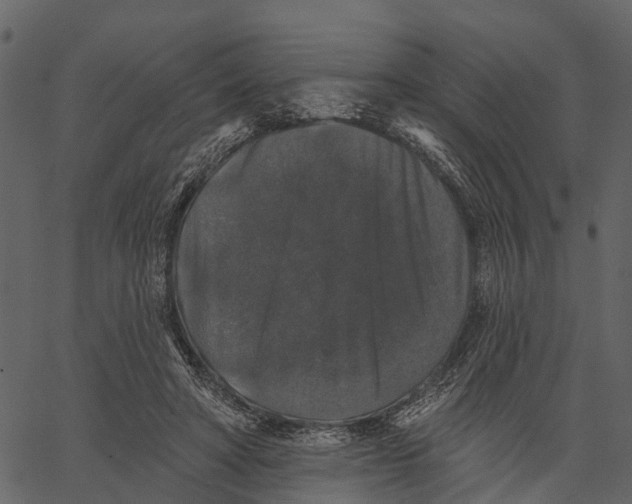 X0000062640402200601111131