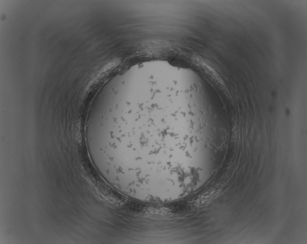 X0000062640403200601111131