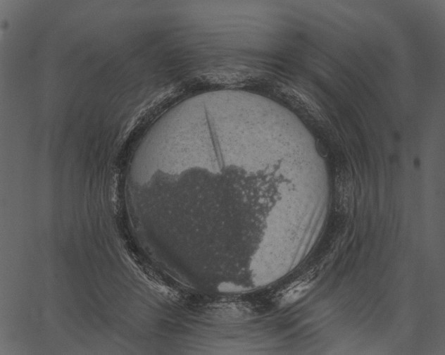 X0000062640404200601111131