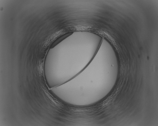 X0000062640405200601111131