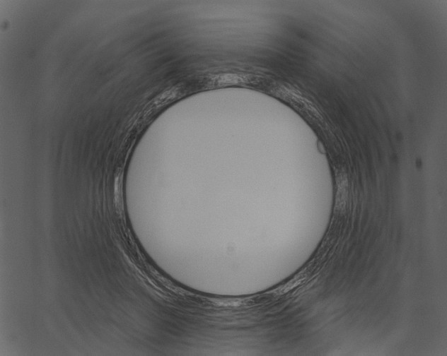 X0000062640406200601111131