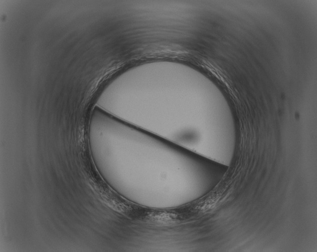 X0000062640407200601111131